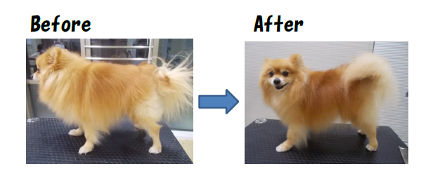 マイクロバブル2